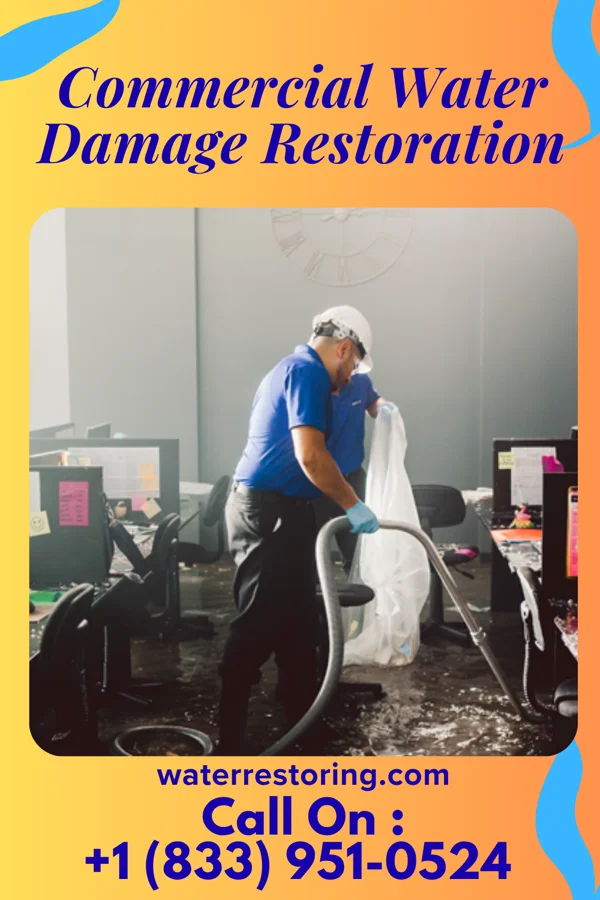 Commercial Water Damage Restoration in Charlotte Court House, VA