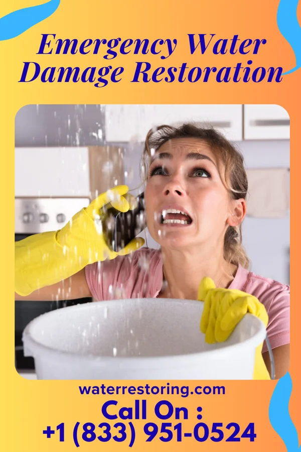 Emergency Water Damage Restoration in Charlotte Court House, VA
